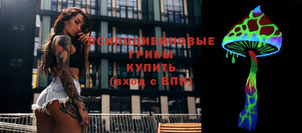 2c-b Беломорск