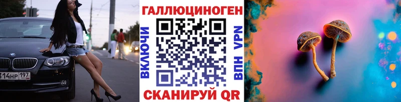 мега как войти  darknet какой сайт  Псилоцибиновые грибы мухоморы  Куртамыш 